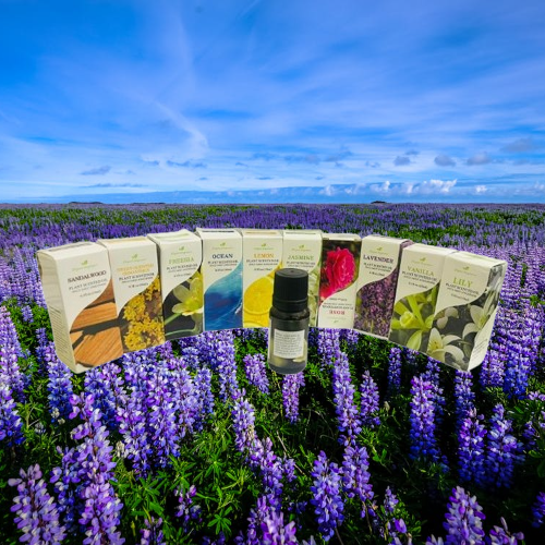 Aroma diffuser Essential Oils Price in Bangladesh Aroma diffuser Essential Oils Price in Bangladesh