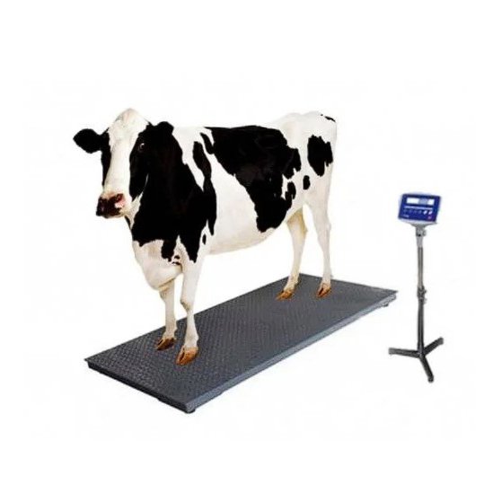 Animal Weight Scale Cow Weight Scale 2000KG Animal Weight Scale Cow Weight Scale 2000KG