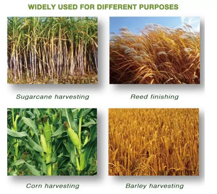 Grass Cutter big power grass trimmer machine in bangladesh 2 brush grass cutter machine warking with all type of hurvesting