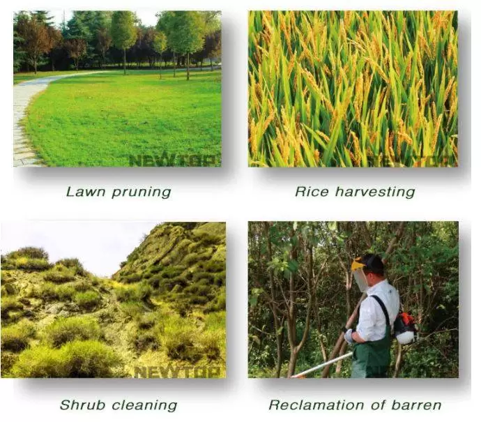 Grass Cutter big power grass trimmer machine in bangladesh 3 grass cutter machine