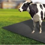 Cow Buffalo Dog Horse Mat rubber Pad