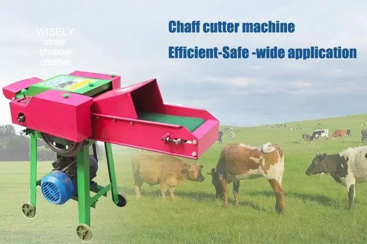 Chaff-Cutter-Machine-2 Grass Cutting Machine Chaff Cutting Machine Fodder Cutter Machine - Image 4
