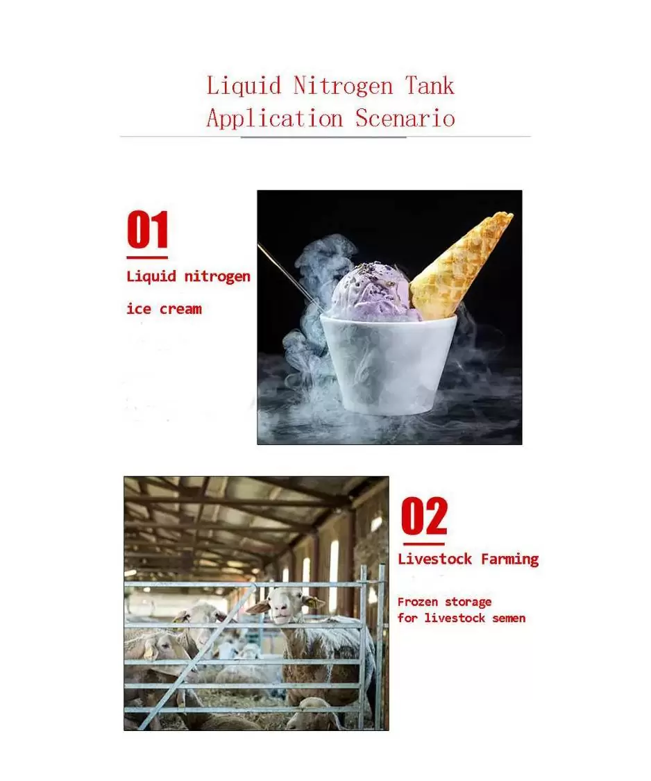 Animal Semen Storage Tanks SG 15 copy