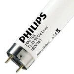 D65 Tube Light Philips bd