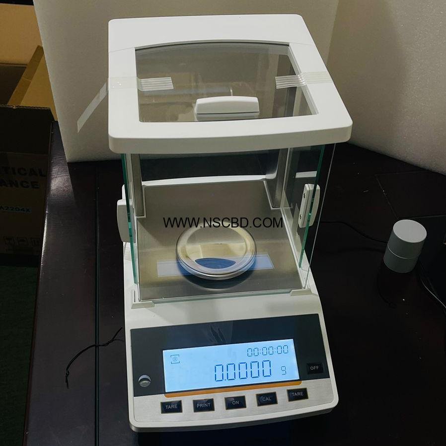 digi 4 digit Balance