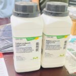 Sodium Perborate (NaBO3·nH2O)