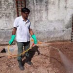 BIO PEST Termite Controlling Powder