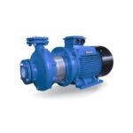 LEO XST 65-160/92 Standard Centrifugal Pump Price in Bangladesh